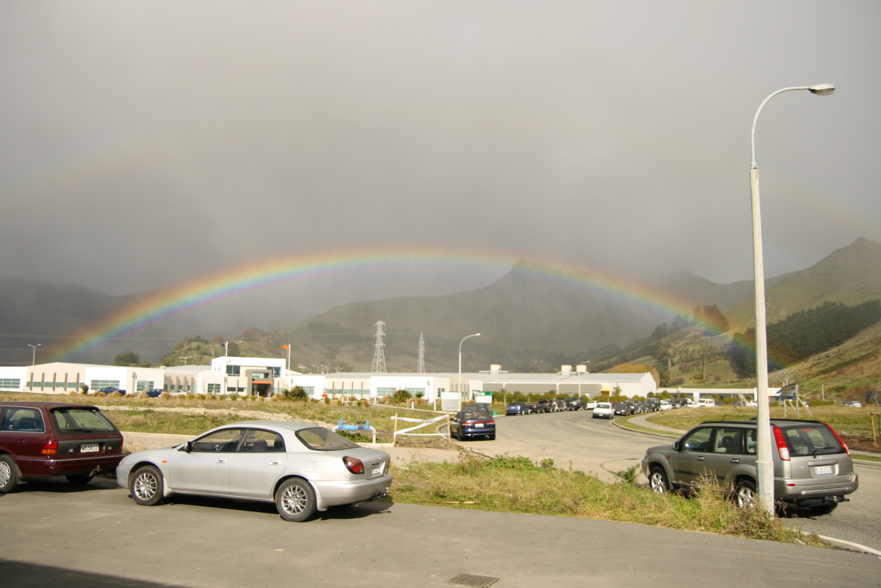 Craigpine plantation in Winton, New Zealand - 18 August 2008